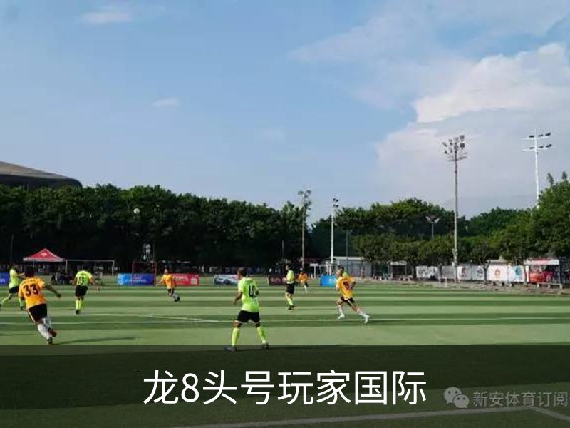 龙8头号玩家国际简介